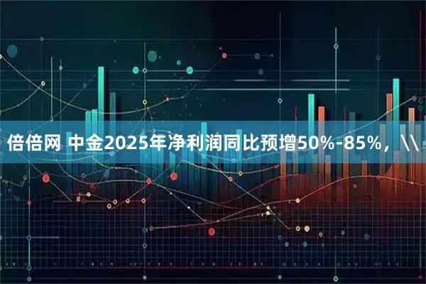 倍倍网 中金2025年净利润同比预增50%-85%，\