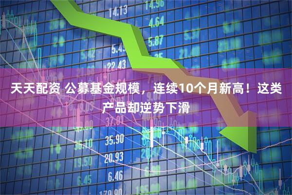 天天配资 公募基金规模，连续10个月新高！这类产品却逆势下滑