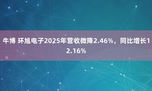 牛博 环旭电子2025年营收微降2.46%，同比增长12.16%