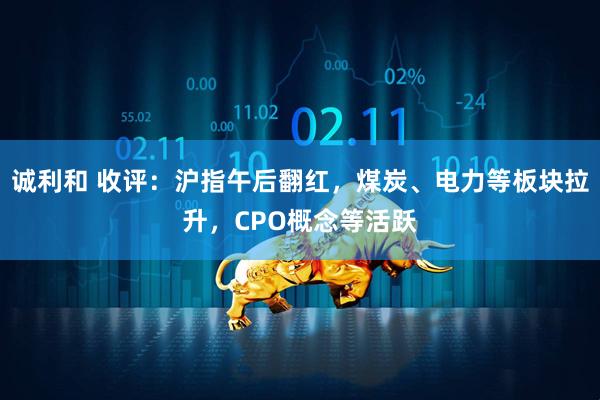 诚利和 收评：沪指午后翻红，煤炭、电力等板块拉升，CPO概念等活跃