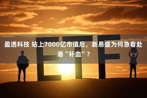 盈透科技 站上7000亿市值后，新易盛为何急着赴港“补血”？