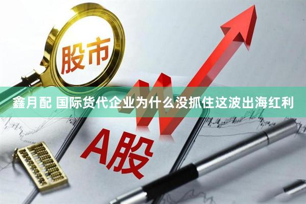 鑫月配 国际货代企业为什么没抓住这波出海红利