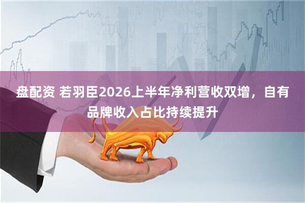 盘配资 若羽臣2026上半年净利营收双增，自有品牌收入占比持续提升